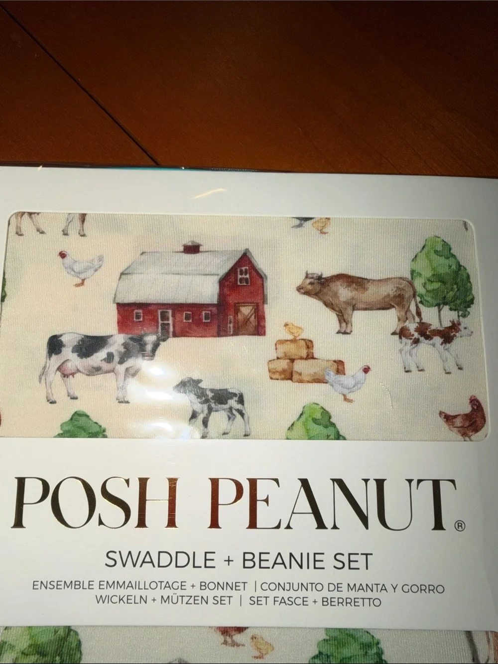 Posh Peanut Swaddle & Beanie Set Nashville Print NEW